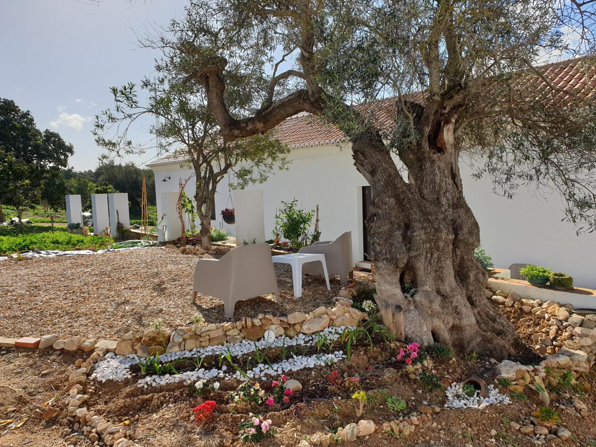 Monte Das Acoteias - Agroturismo Тавира Екстериор снимка