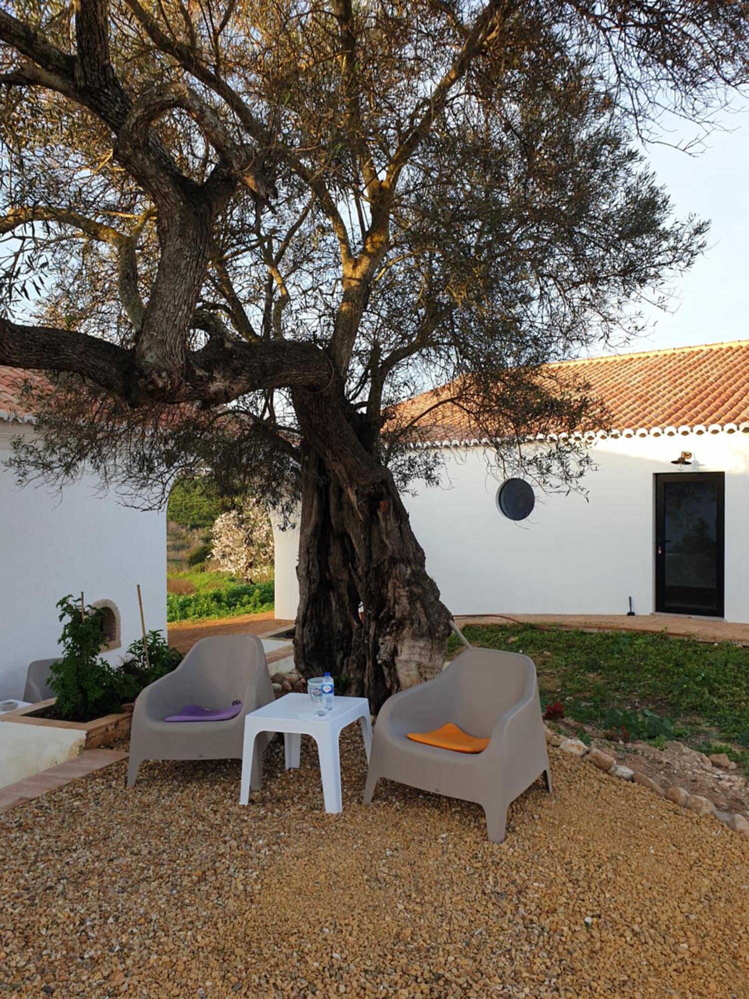 Monte Das Acoteias - Agroturismo Тавира Екстериор снимка